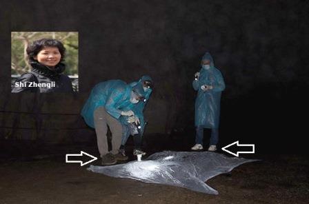 Coronavirus, Intervista a Shi Zhengli Bat Woman con Foto che Accusano il Wuhan Lab